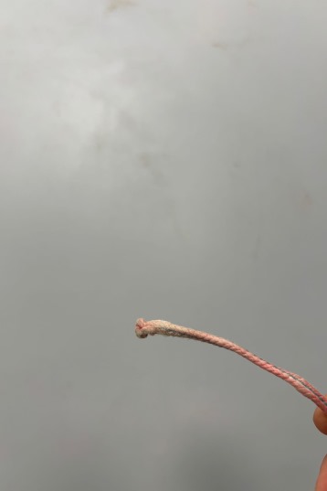 Duotone Kiteboarding-Neo SLS 2021 Kite (2nd)